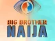 BBNaija Season 9